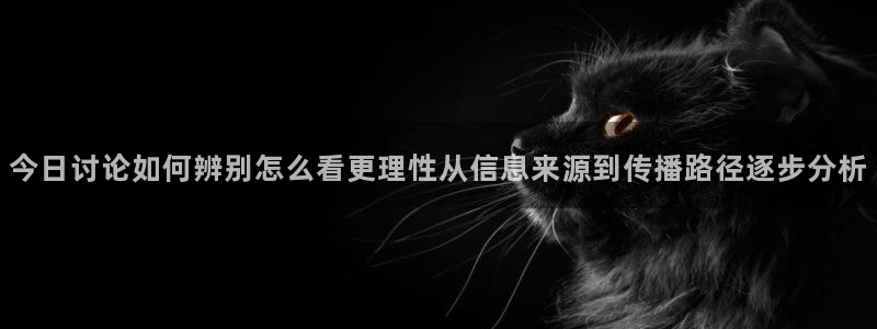今日网络事件