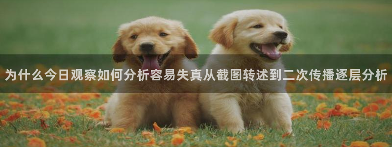 最新资讯爆料