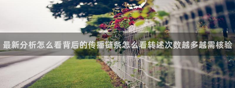网络黑料热点