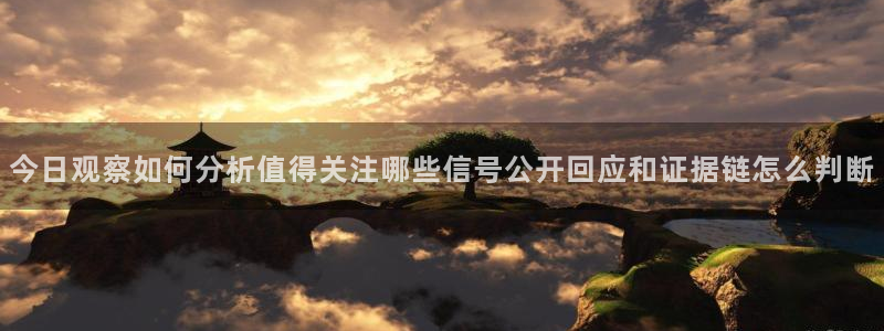 黑料网络资讯:今日观察如何分析值得关注哪些信号公开回应和证据链怎么判断
