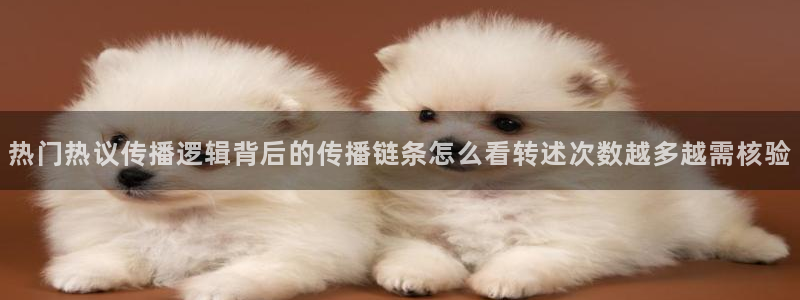 黑料爆料最新热搜:热门热议传播逻辑背后的传播链条怎么看转述次数越多越需核验