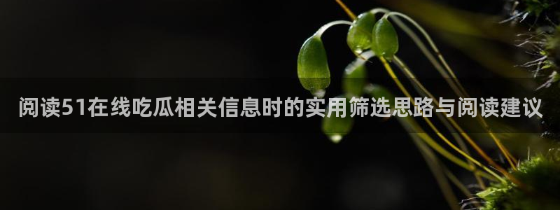 黑料热门话题:阅读51在线吃瓜相关信息时的实用筛选思路与阅读建议