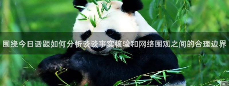 热点话题大全
